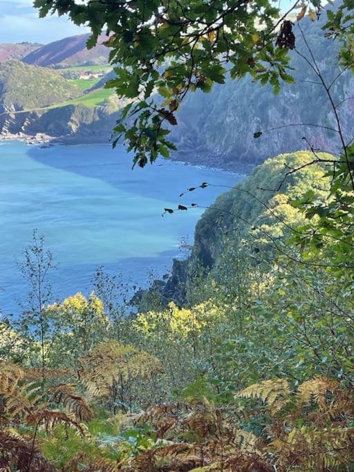 Linnet, Moor And Sea Holidays, Set Perfectly Between Exmoor And The Sea Lynton Exterior photo